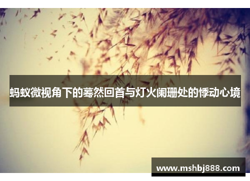 蚂蚁微视角下的蓦然回首与灯火阑珊处的悸动心境