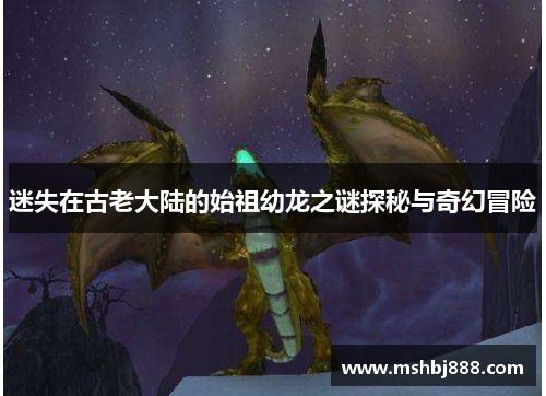 迷失在古老大陆的始祖幼龙之谜探秘与奇幻冒险