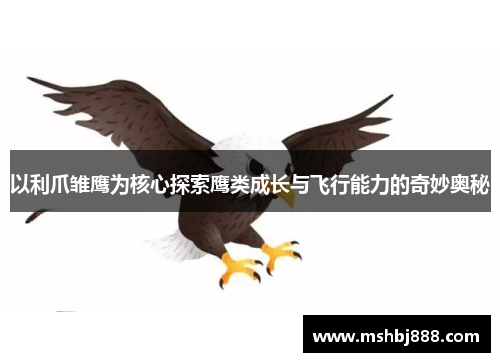 以利爪雏鹰为核心探索鹰类成长与飞行能力的奇妙奥秘 以利爪雏鹰为核心探索鹰类成长与飞行能力的奇妙奥秘
