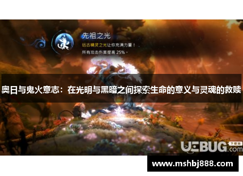 奥日与鬼火意志：在光明与黑暗之间探索生命的意义与灵魂的救赎
